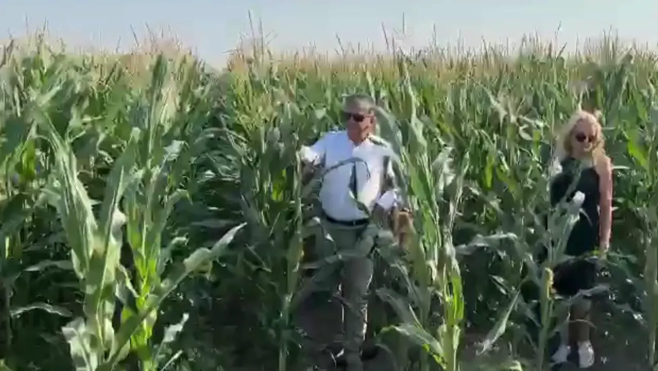 Mısır, Kumkale, Çanakkale · Proverim saha uygulaması